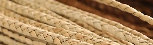 suncitygroup太阳集团·(中国)首页登录