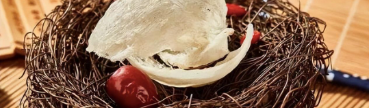 suncitygroup太阳集团·(中国)首页登录