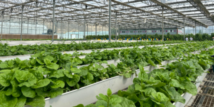 suncitygroup太阳集团·(中国)首页登录