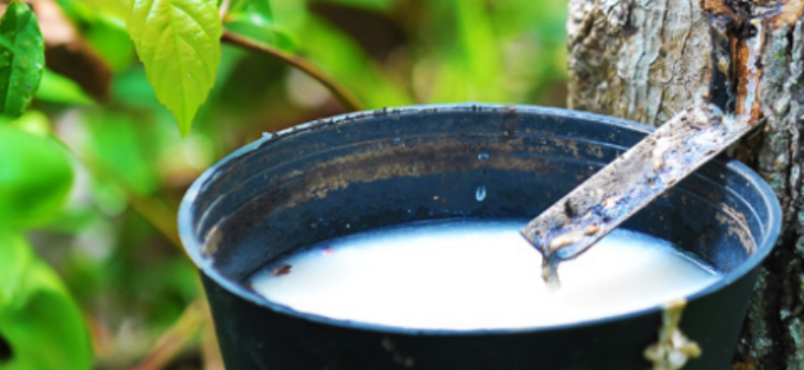 suncitygroup太阳集团·(中国)首页登录