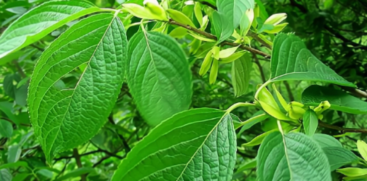 suncitygroup太阳集团·(中国)首页登录