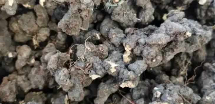 suncitygroup太阳集团·(中国)首页登录