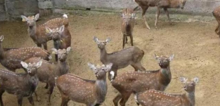 suncitygroup太阳集团·(中国)首页登录