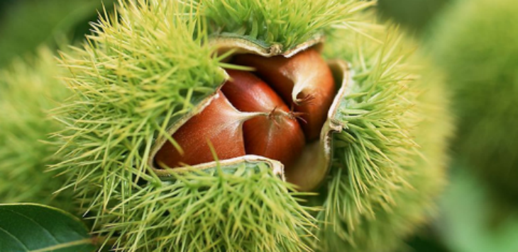 suncitygroup太阳集团·(中国)首页登录