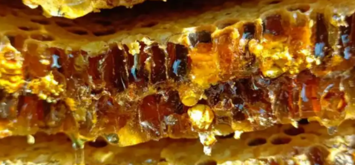 suncitygroup太阳集团·(中国)首页登录