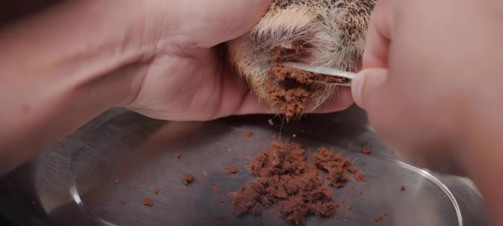 suncitygroup太阳集团·(中国)首页登录