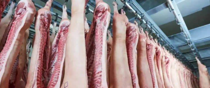 suncitygroup太阳集团·(中国)首页登录