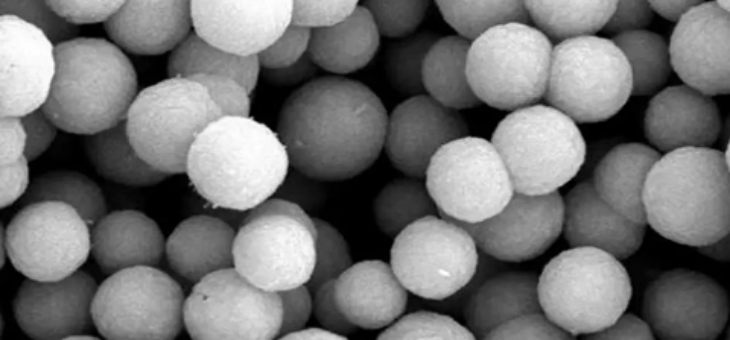 suncitygroup太阳集团·(中国)首页登录