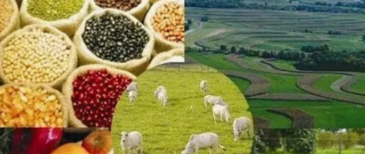 suncitygroup太阳集团·(中国)首页登录