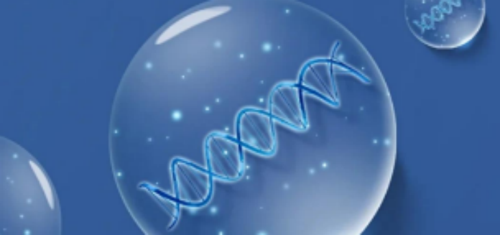 suncitygroup太阳集团·(中国)首页登录